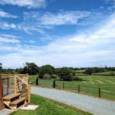Archers Meadow Shropshire エレスメア エクステリア 写真